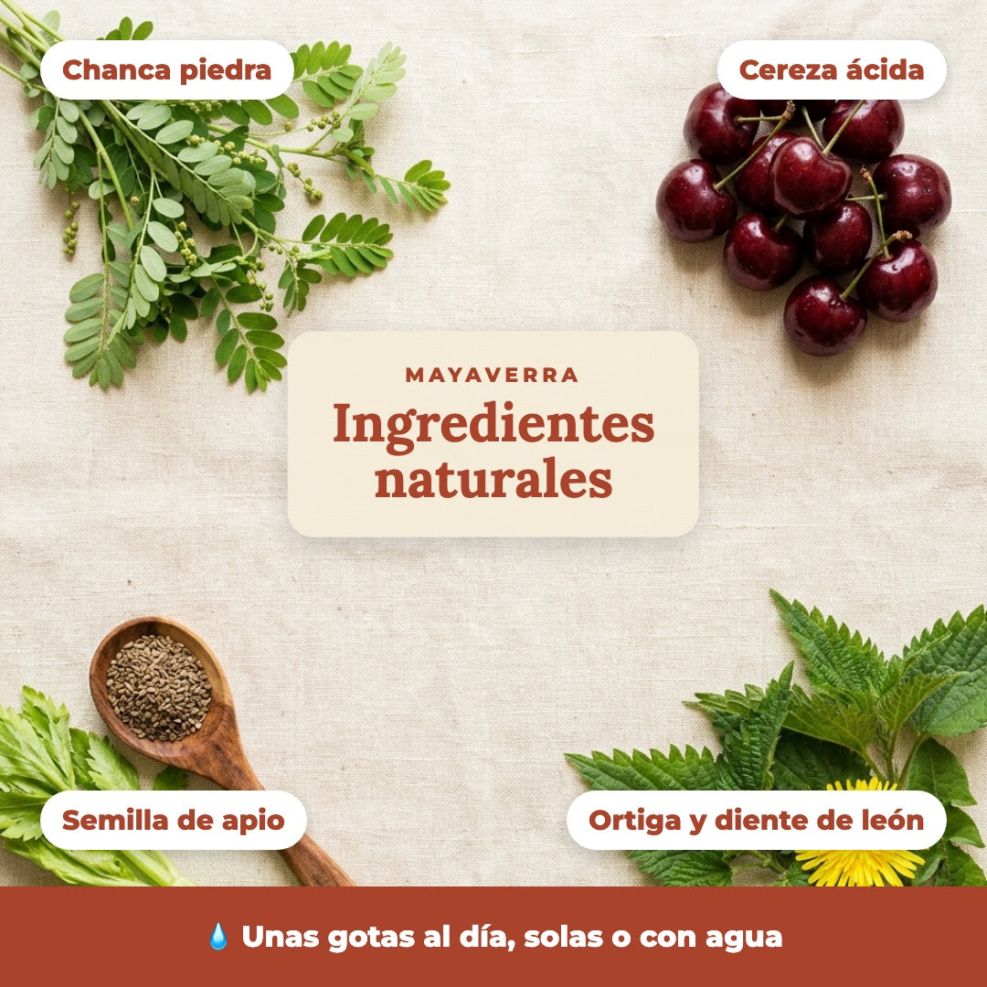 Úrico Libre MAYAVERRA - ingredientes